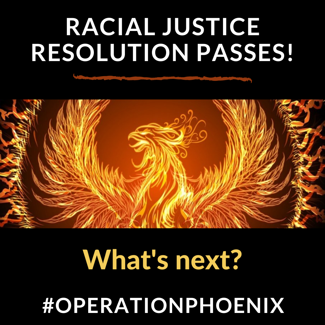 Resolution PASSED; Budget on Tonight’s Agenda – Operation Phoenix R.I.S.E.